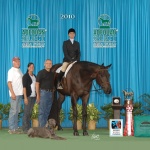 THESE IRONS R DANCIN - Out Of Ready To Dance